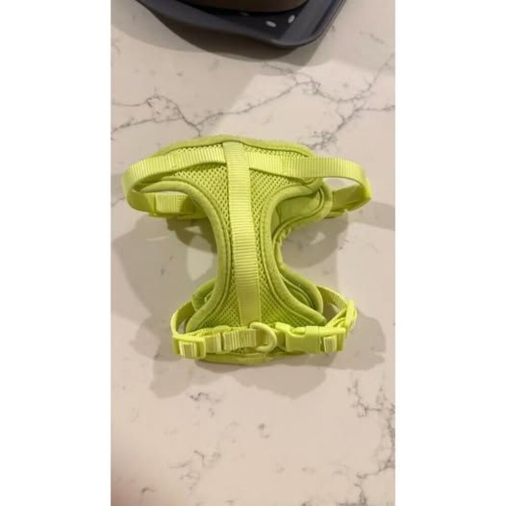 Wild One Yellow Dog Harness (Size XS)